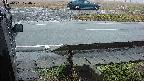yotec3-20230101074029.jpg