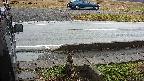 yotec3-20230101100028.jpg