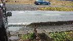 yotec3-20230101101028.jpg