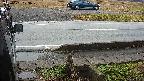 yotec3-20230101103027.jpg