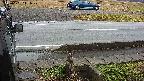 yotec3-20230101111029.jpg
