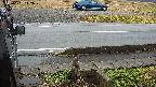 yotec3-20230101112030.jpg