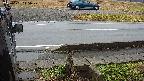 yotec3-20230101115029.jpg
