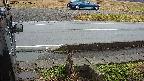 yotec3-20230101122028.jpg