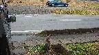yotec3-20230101124027.jpg