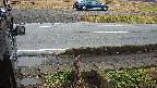 yotec3-20230101132028.jpg