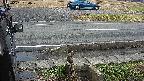 yotec3-20230101154030.jpg