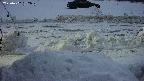 yotec3-20230202062030.jpg