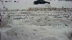 yotec3-20230202064028.jpg