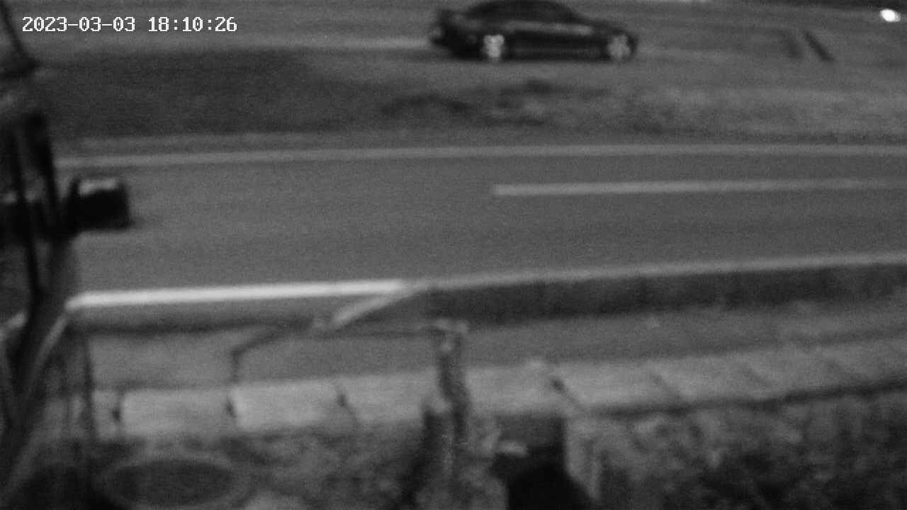 yotec3-20230303181027.jpg