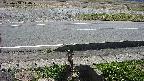 yotec3-20230404114030.jpg
