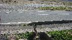 yotec3-20230404120027.jpg