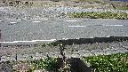 yotec3-20230404124027.jpg