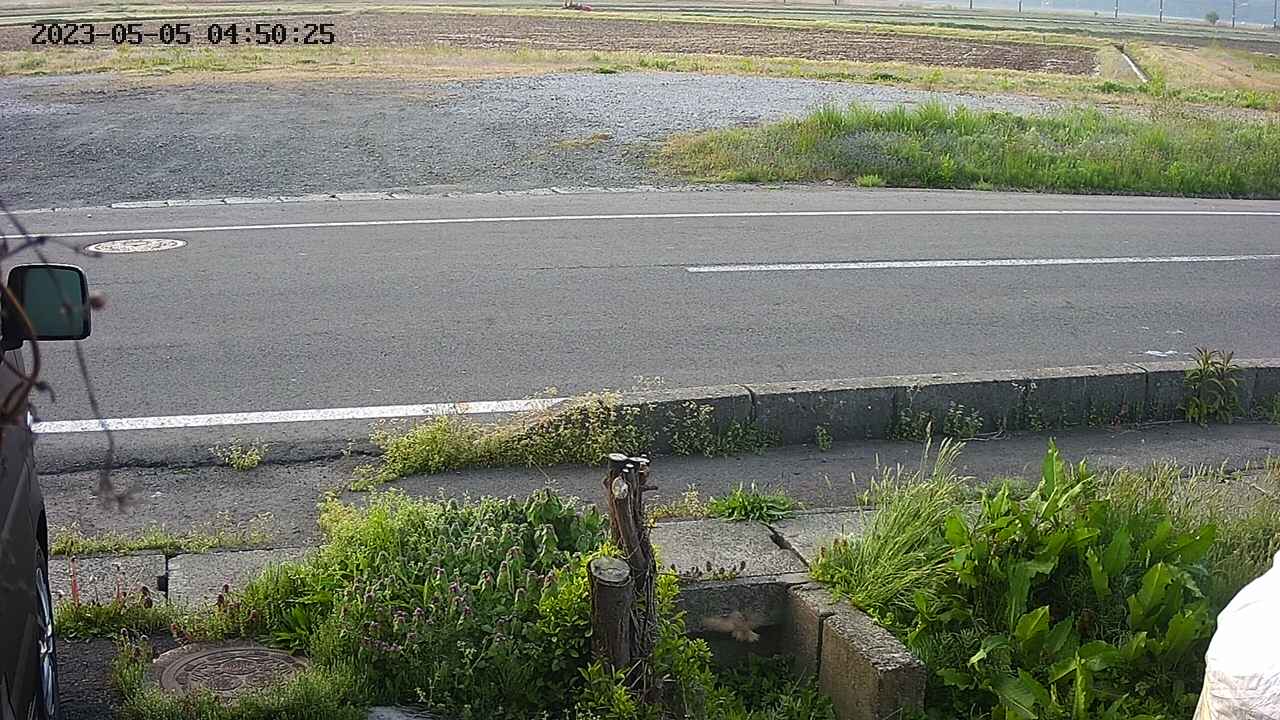yotec3-20230505045027.jpg