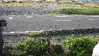yotec3-20230505055027.jpg