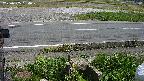 yotec3-20230505134029.jpg