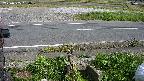 yotec3-20230505150028.jpg