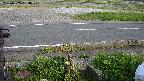 yotec3-20230505163029.jpg