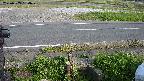 yotec3-20230505164029.jpg