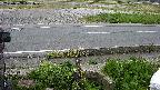 yotec3-20230505181030.jpg