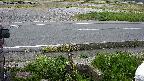 yotec3-20230505182030.jpg