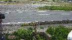 yotec3-20230505183028.jpg