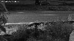 yotec3-20230606024029.jpg