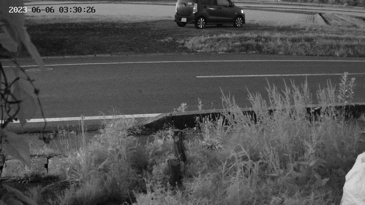 yotec3-20230606033028.jpg