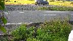 yotec3-20230606050028.jpg