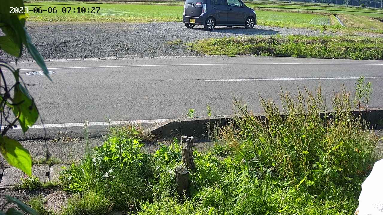yotec3-20230606071029.jpg