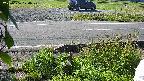 yotec3-20230606074030.jpg