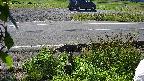 yotec3-20230606084030.jpg