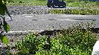 yotec3-20230606090029.jpg