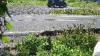 yotec3-20230606091028.jpg