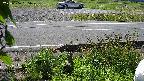 yotec3-20230606095028.jpg