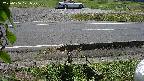 yotec3-20230606121029.jpg
