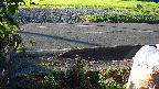 yotec3-20230808060027.jpg