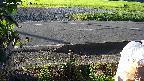 yotec3-20230808061029.jpg
