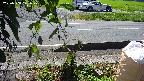 yotec3-20230808102029.jpg