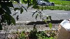 yotec3-20230808104028.jpg