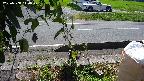yotec3-20230808110030.jpg
