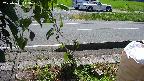 yotec3-20230808113029.jpg