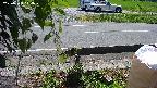 yotec3-20230808114028.jpg