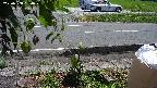 yotec3-20230808130030.jpg