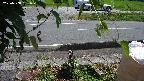 yotec3-20230808131030.jpg