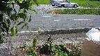 yotec3-20230808134029.jpg