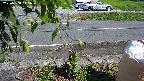 yotec3-20230808145030.jpg