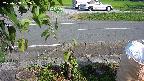 yotec3-20230808162029.jpg