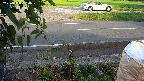 yotec3-20230808180030.jpg