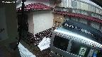 yotec3-20240404051029.jpg